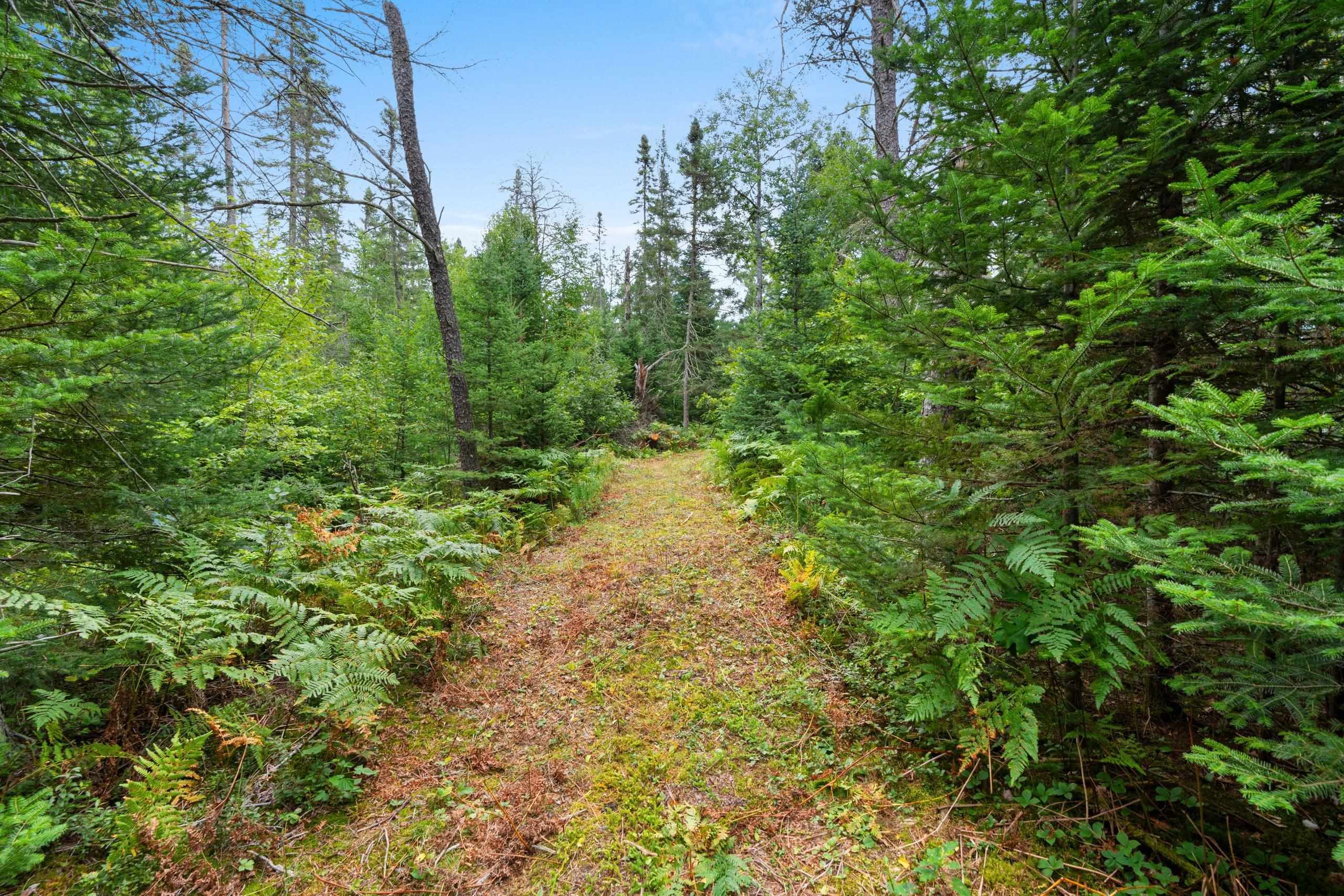 2439 Quiet Cove Road Tomahawk, WI 54487 - Photo 29 of 35