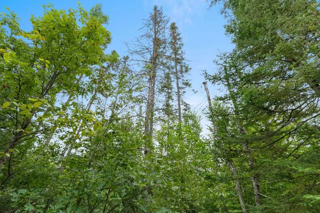 $399,000 | 2439 Quiet Cove Road, Tomahawk, WI 54487