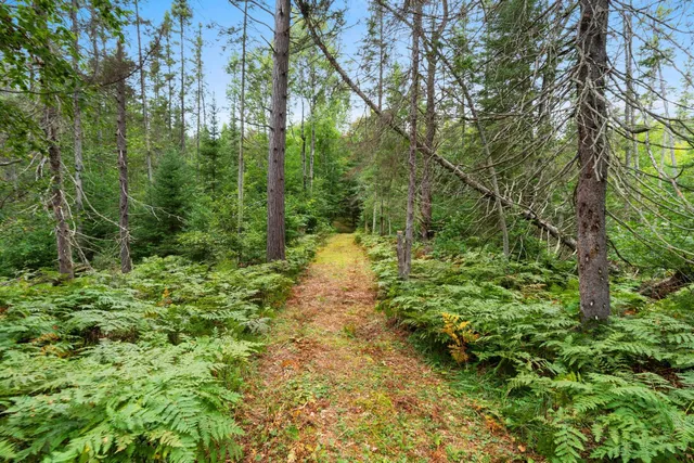 $399,000 | 2439 Quiet Cove Road, Tomahawk, WI 54487