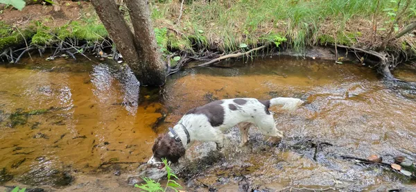 $399,000 | 2439 Quiet Cove Road, Tomahawk, WI 54487