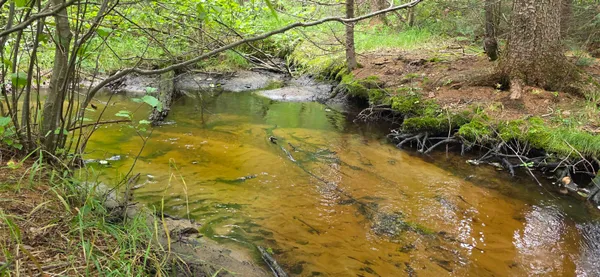 $399,000 | 2439 Quiet Cove Road, Tomahawk, WI 54487