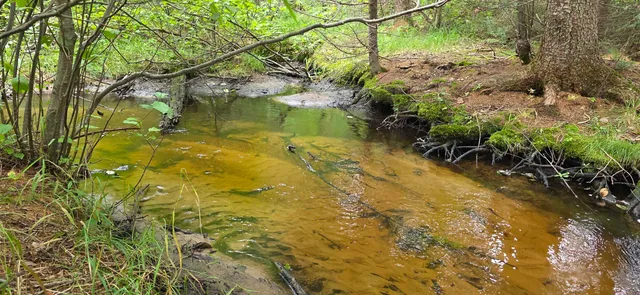 $399,000 | 2439 Quiet Cove Road, Tomahawk, WI 54487