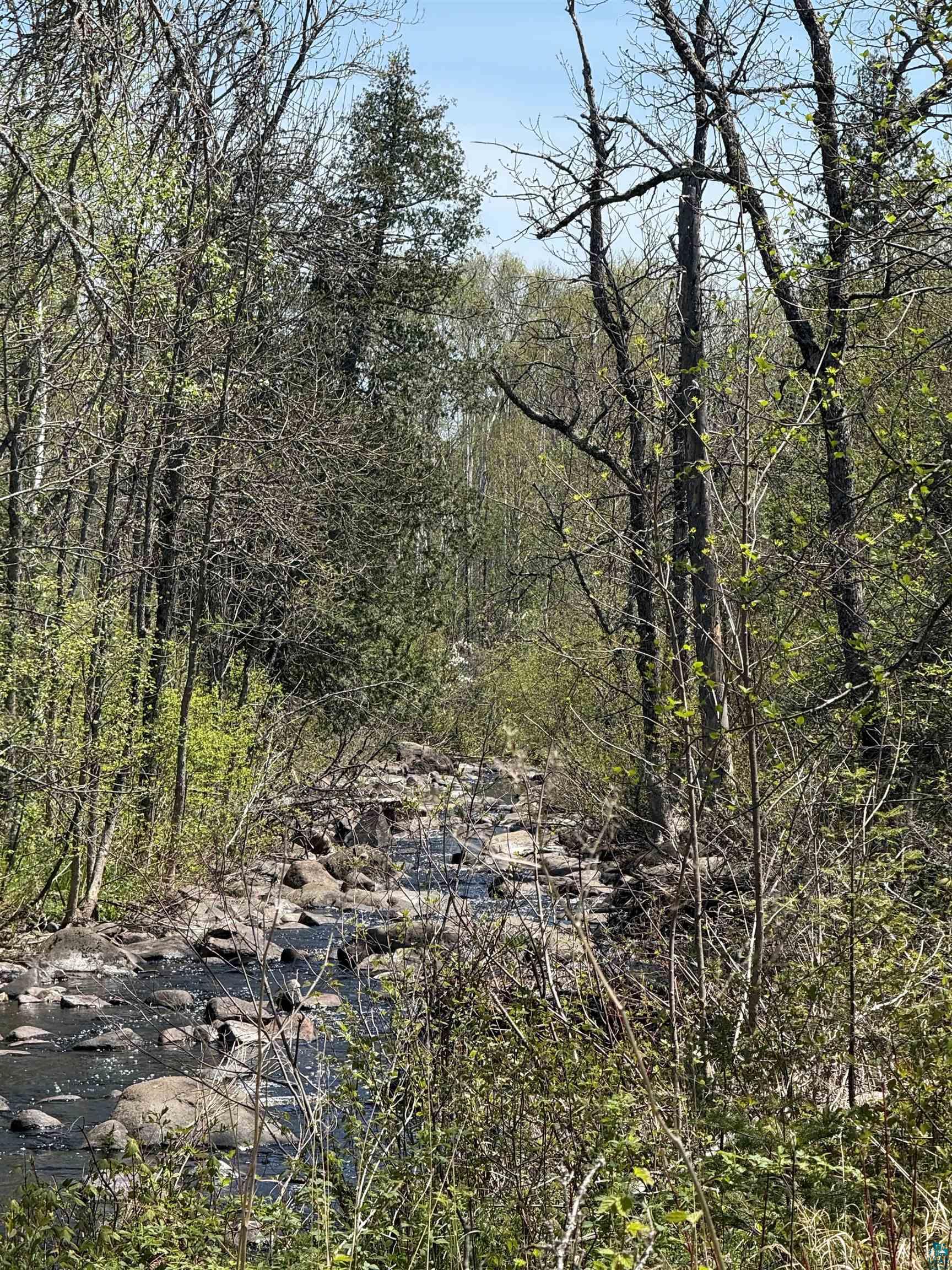 Tbd Crown Creek Road Finland, MN 55603 - Photo 4 of 14
