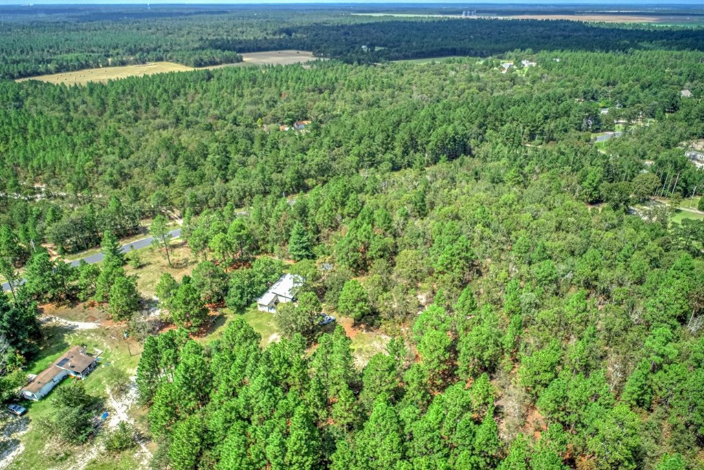 323 Cadle Crossing Road Windsor, SC 29856 - Photo 3 of 12