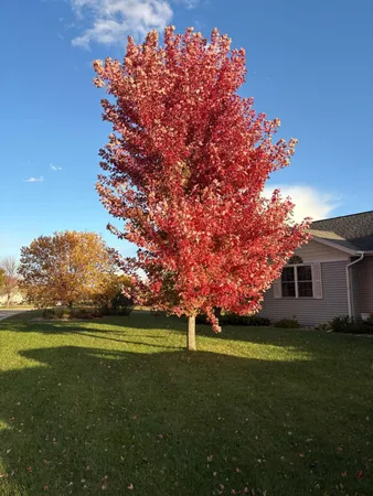 $485,000 | 2317 Hillcrest Lane, Hawley, MN 56549