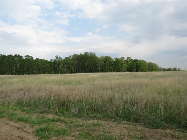 $105,000 | 9 Sw Southwest, Backus, MN 56435