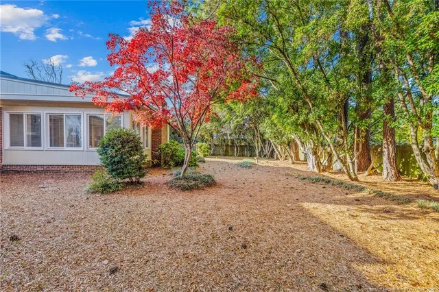 a view of a yard with plants and trees