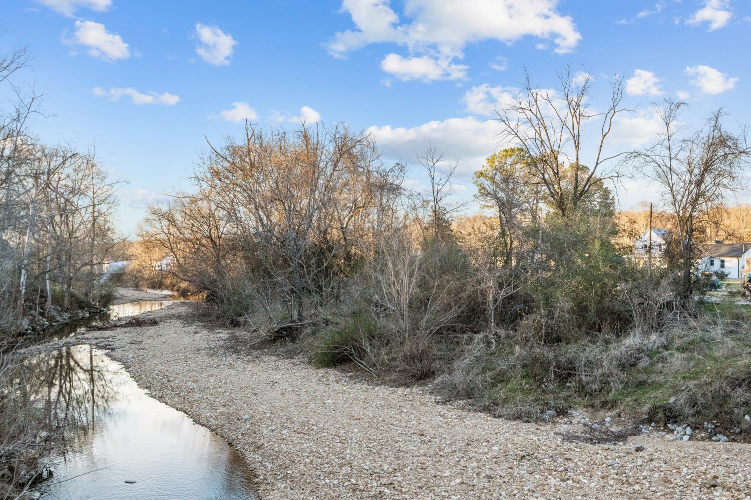 206 Joe Street Waverly, TN 37185 - Photo 20 of 28 a view of a yard with a trees