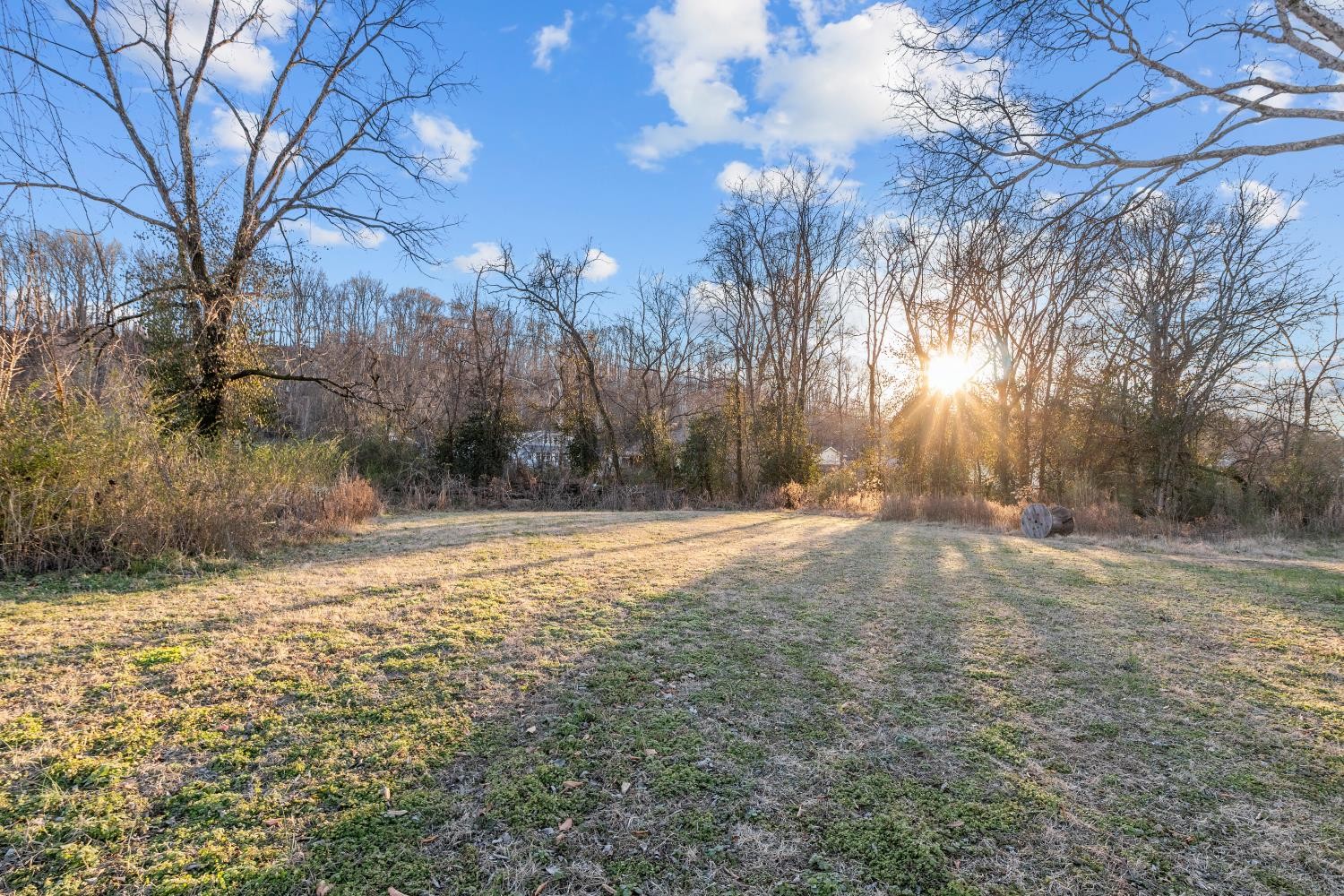 206 Joe Street Waverly, TN 37185 - Photo 22 of 28 a view of large yard with green space