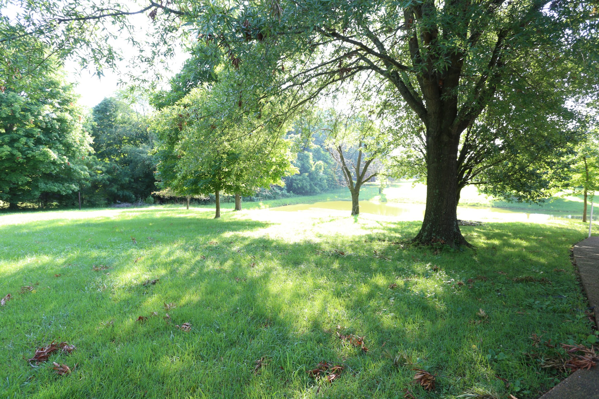 4026 Windland Drive Springfield, TN 37172 - Photo 5 of 48 a view of green field with trees in the background