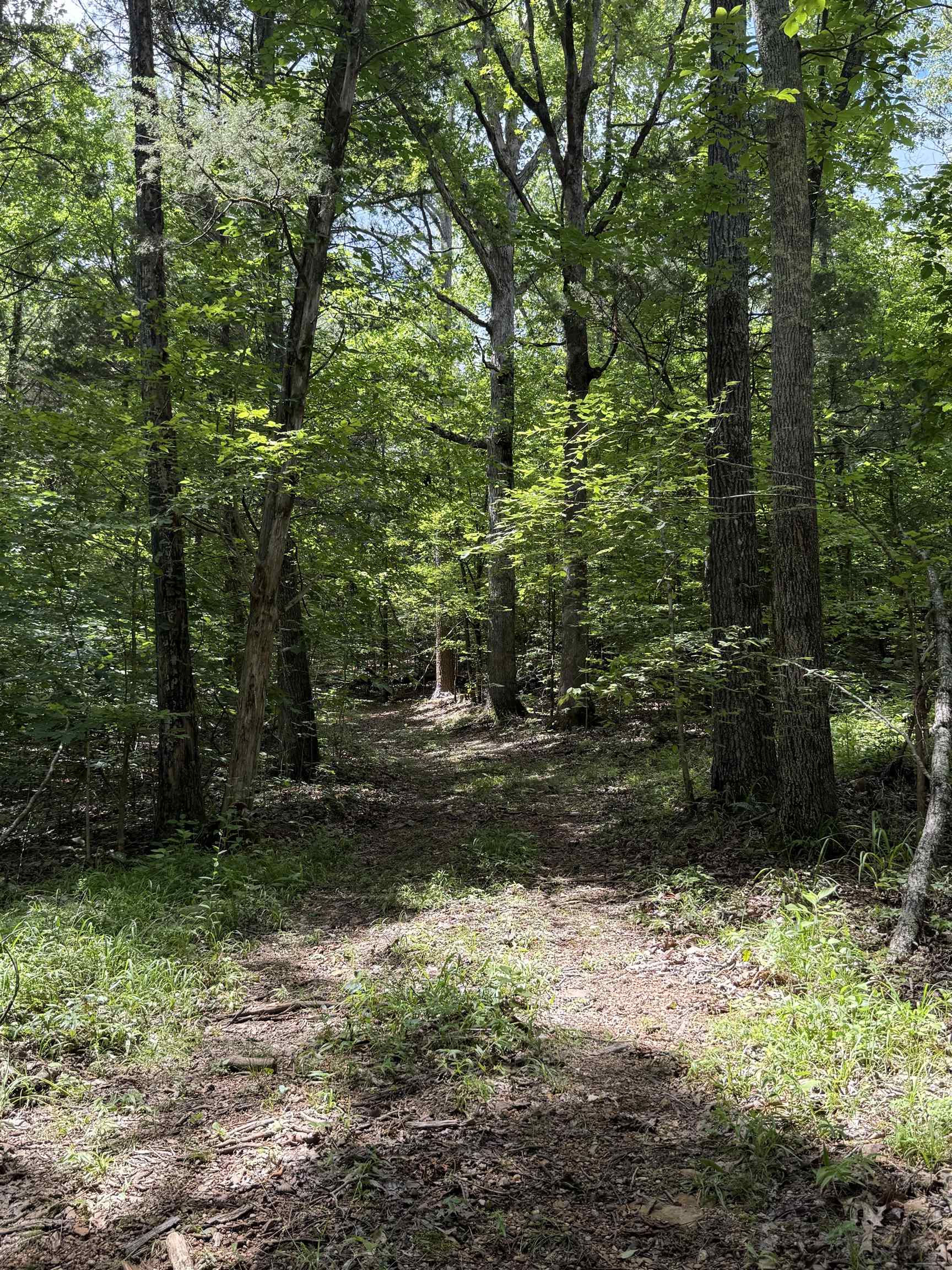 1 Choate Creek Road Savannah, TN 38372 - Photo 12 of 22