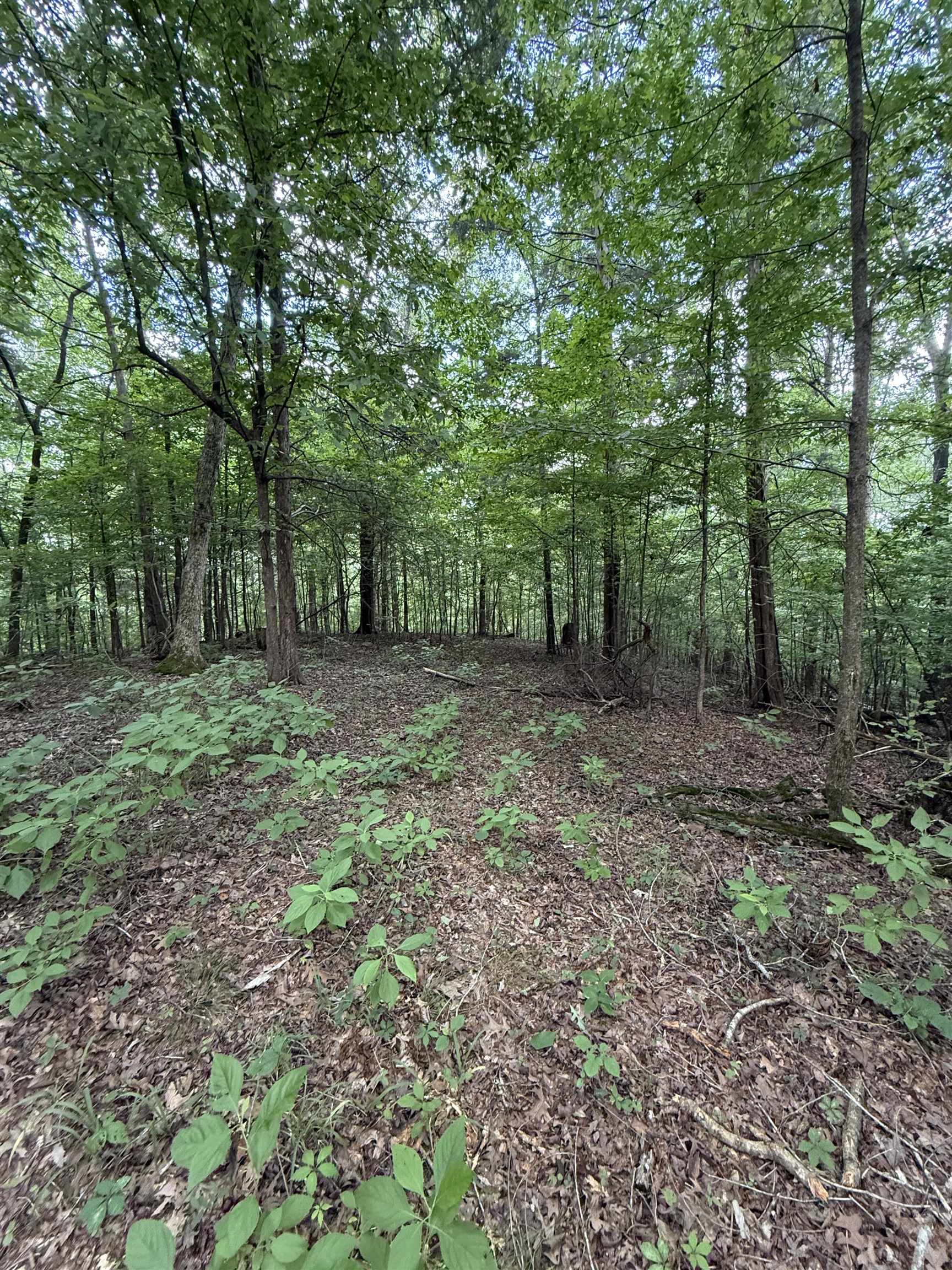 1 Choate Creek Road Savannah, TN 38372 - Photo 20 of 22