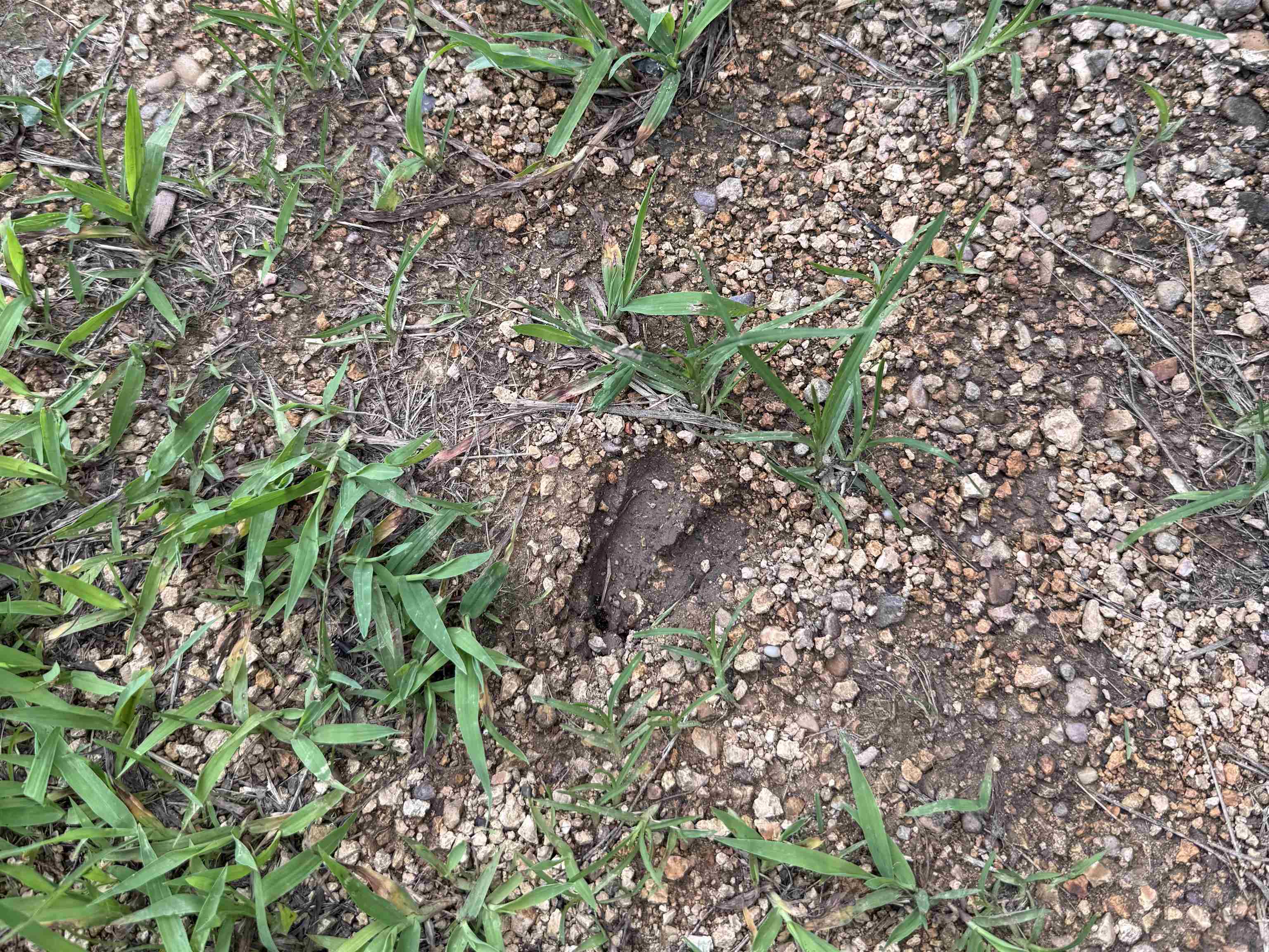 1 Choate Creek Road Savannah, TN 38372 - Photo 21 of 22