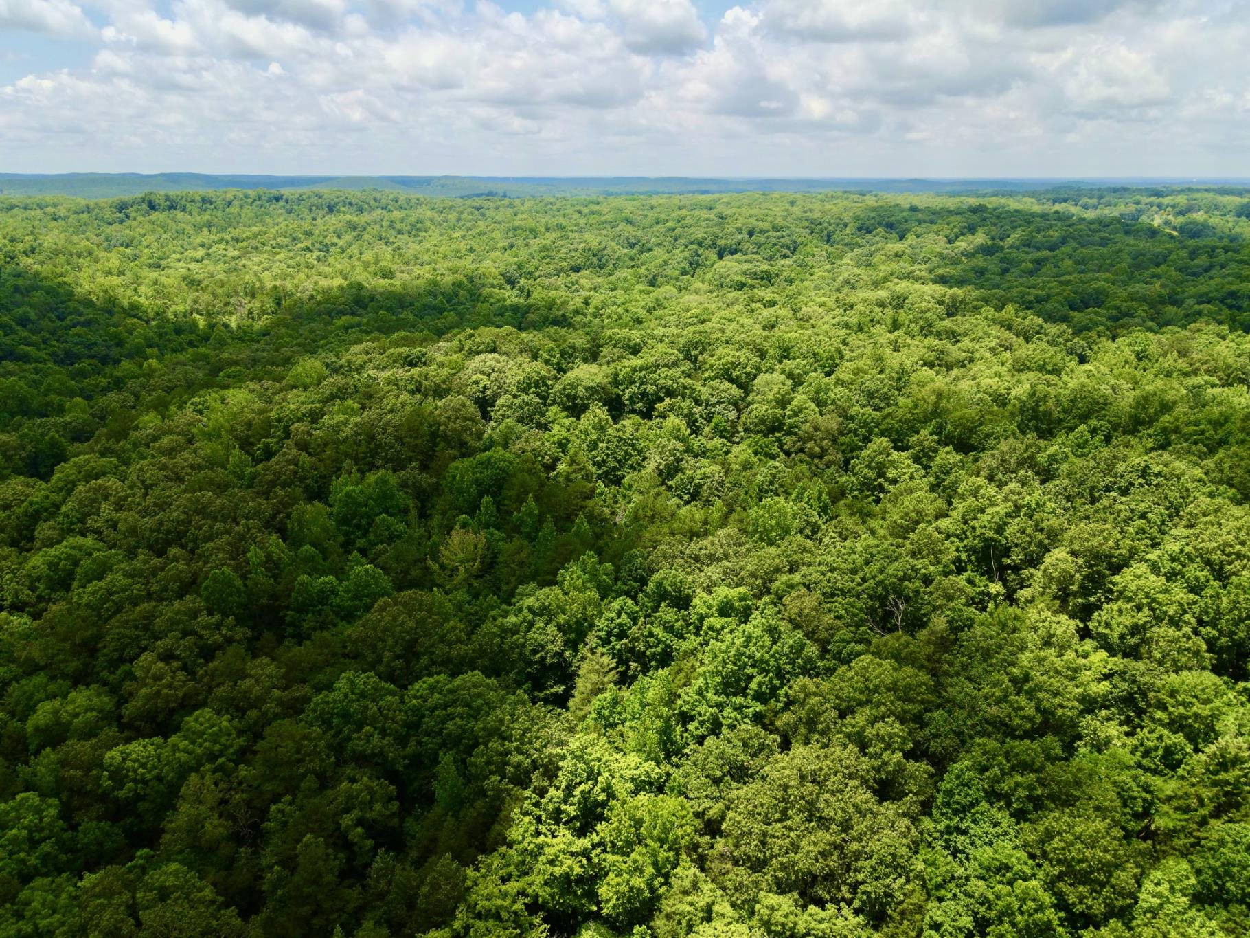 1 Choate Creek Road Savannah, TN 38372 - Photo 3 of 22