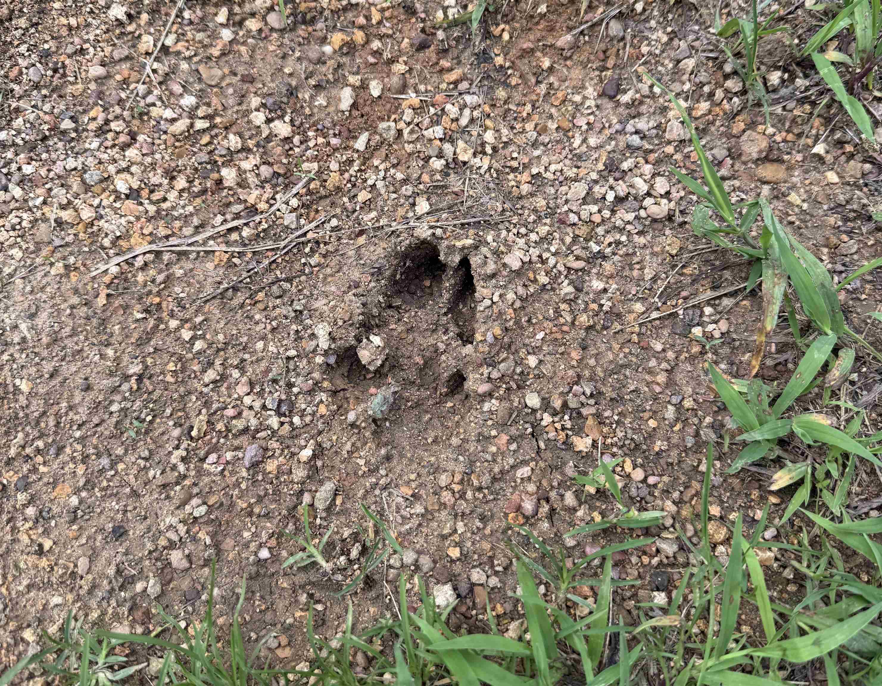 1 Choate Creek Road Savannah, TN 38372 - Photo 5 of 22