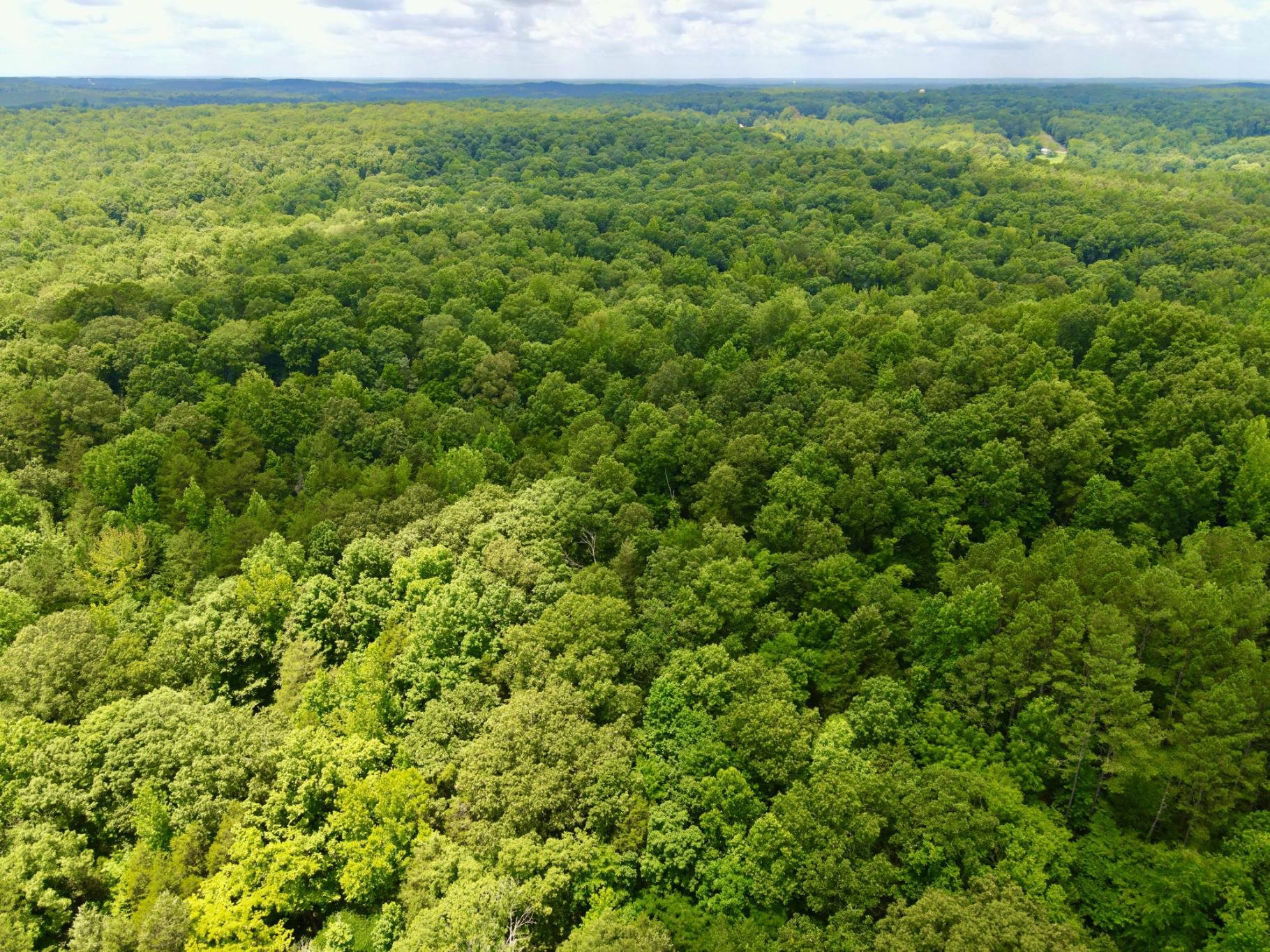 1 Choate Creek Road Savannah, TN 38372 - Photo 7 of 22