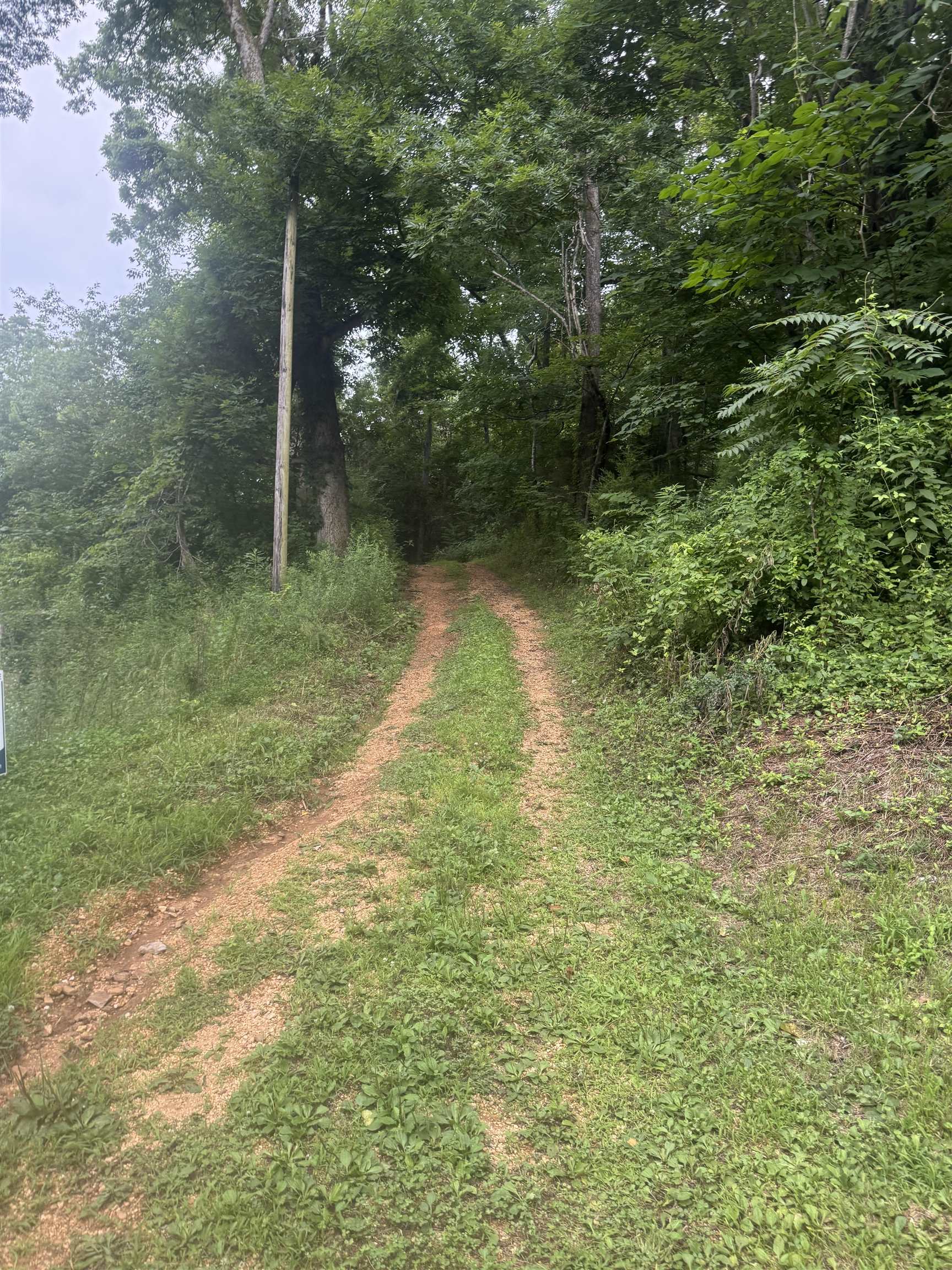 1 Choate Creek Road Savannah, TN 38372 - Photo 8 of 22