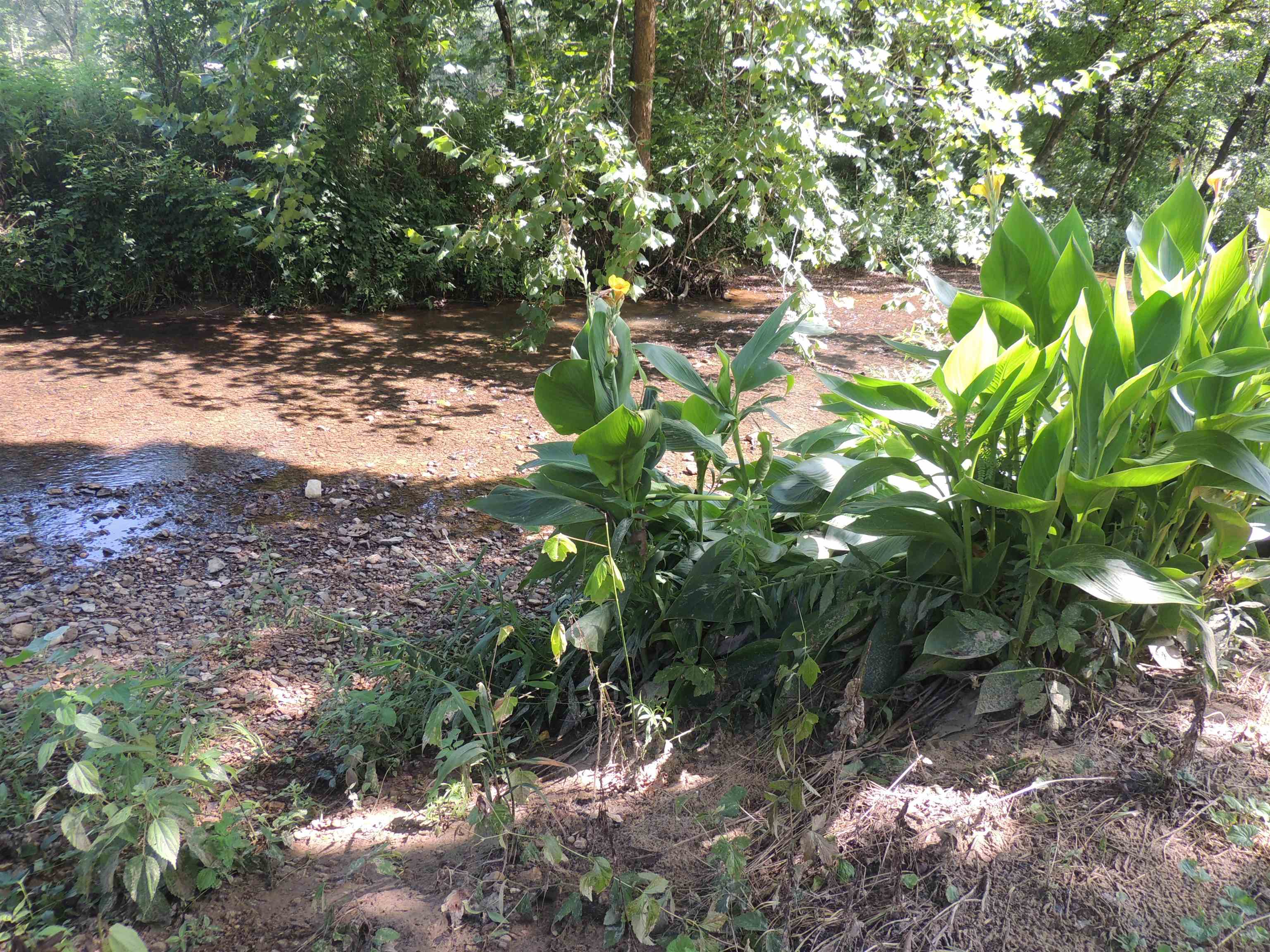 1 Choate Creek Road Savannah, TN 38372 - Photo 9 of 22