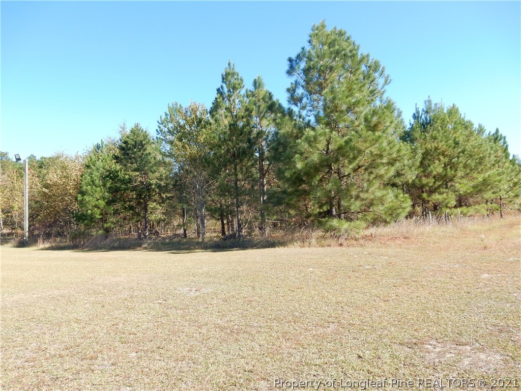 2703 Fayetteville Road Raeford, NC 28376 - Photo 2 of 8 Gallery Image 2