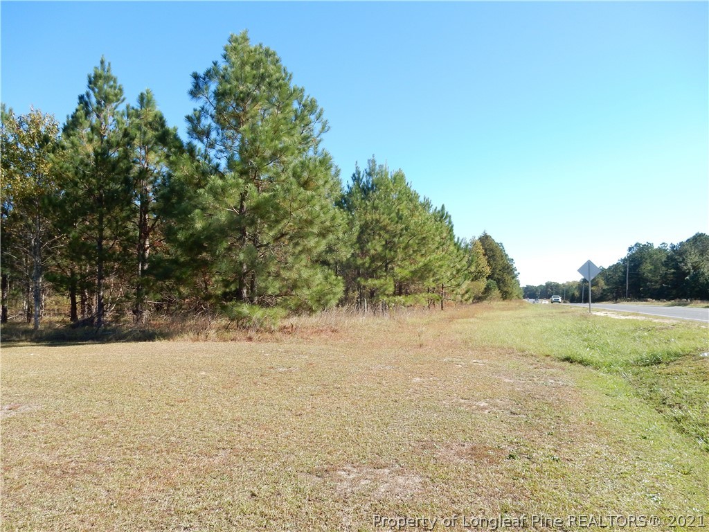 2703 Fayetteville Road Raeford, NC 28376 - Photo 3 of 8 Gallery Image 3