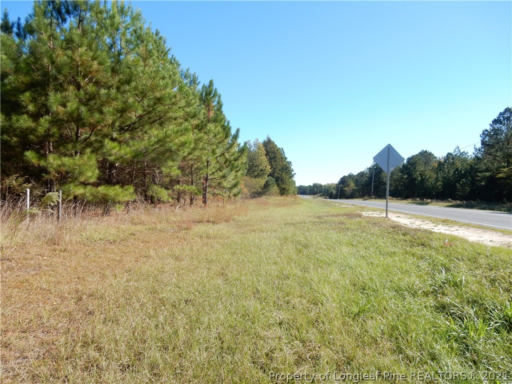 2703 Fayetteville Road Raeford, NC 28376 - Photo 4 of 8 Gallery Image 4