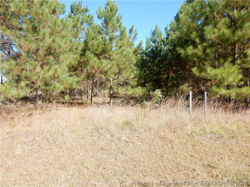 2703 Fayetteville Road Raeford, NC 28376 - Photo 5 of 8 Gallery Image 5