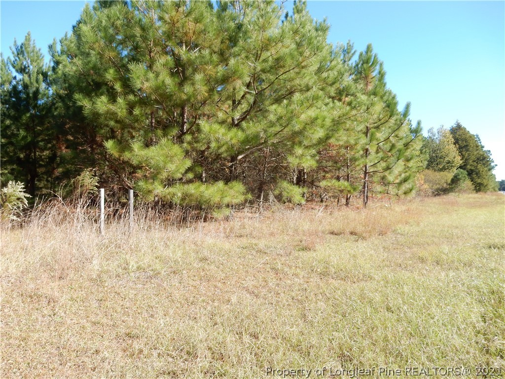 2703 Fayetteville Road Raeford, NC 28376 - Photo 6 of 8 Gallery Image 6
