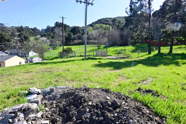 a view of a park with large trees