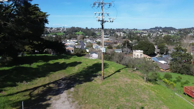 a view of a street with a yard and a large tree