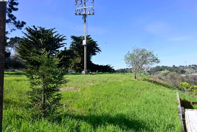 a backyard of a house with lots of green space and trees all around