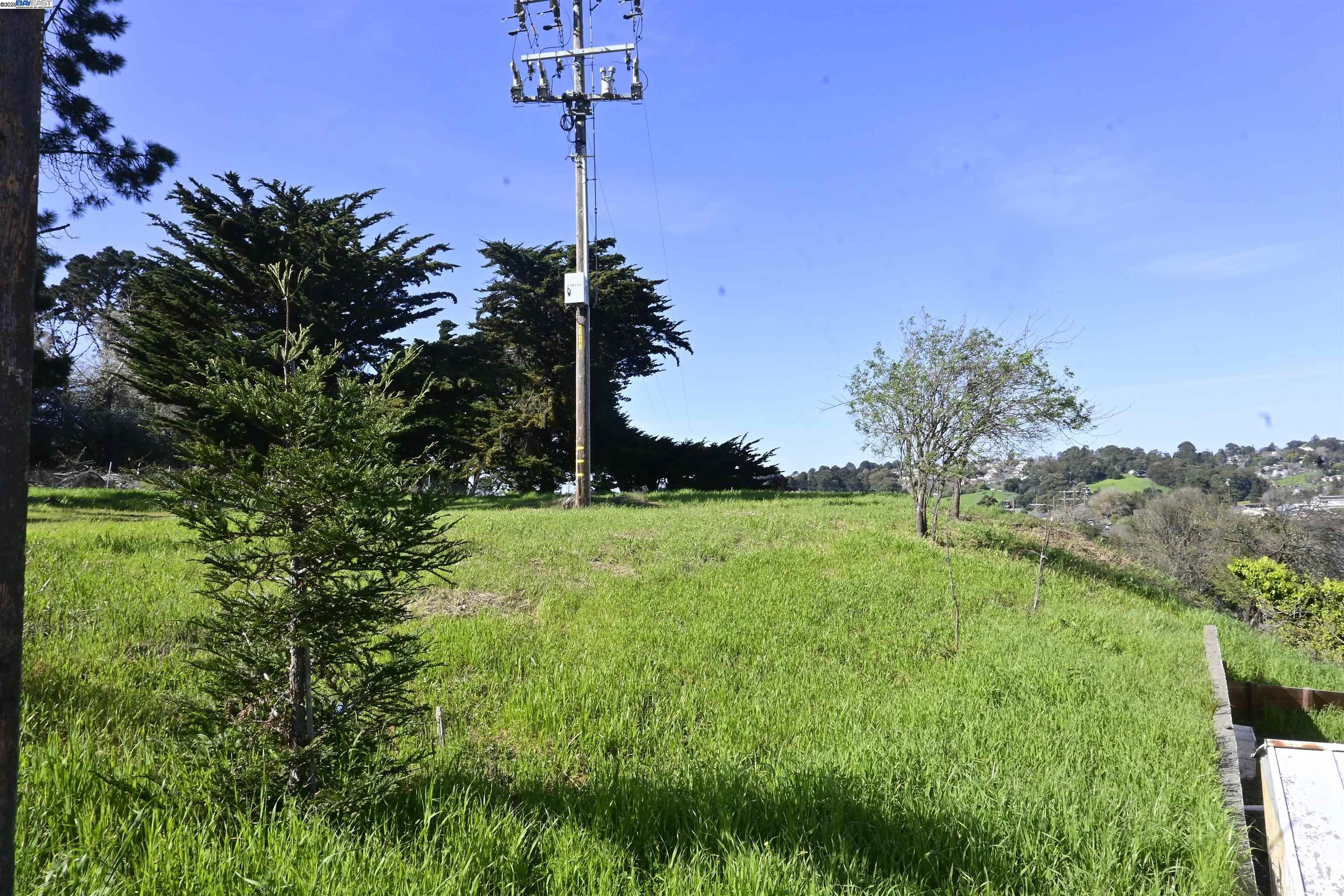 3944 La Cima Road El Sobrante, CA 94803 - Photo 3 of 35 a view of a yard in front of a house