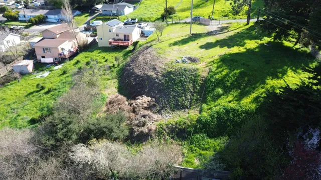 a view of a street with lots of plants and trees