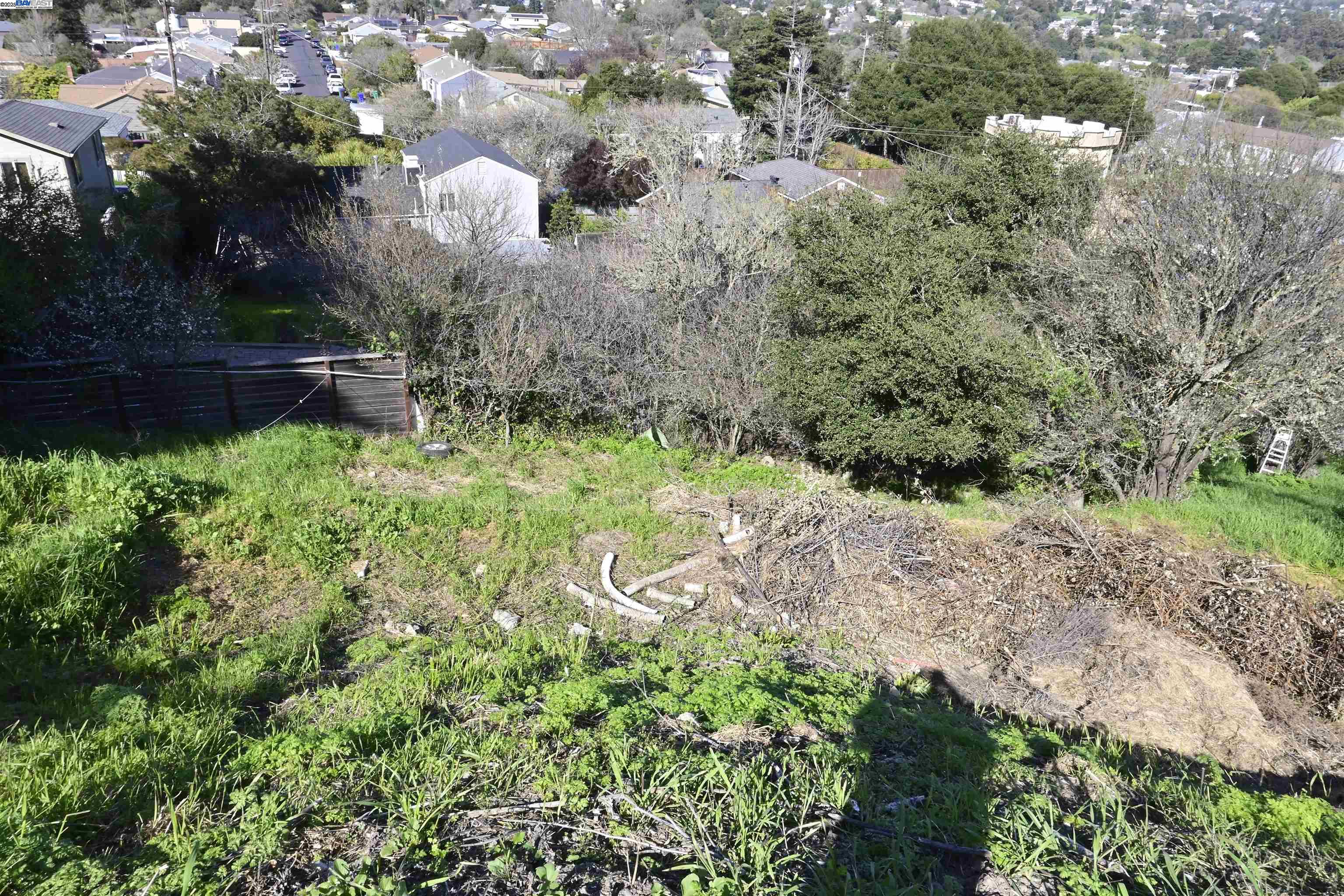 3944 La Cima Road El Sobrante, CA 94803 - Photo 4 of 35 a backyard of a house with lots of green space and trees all around