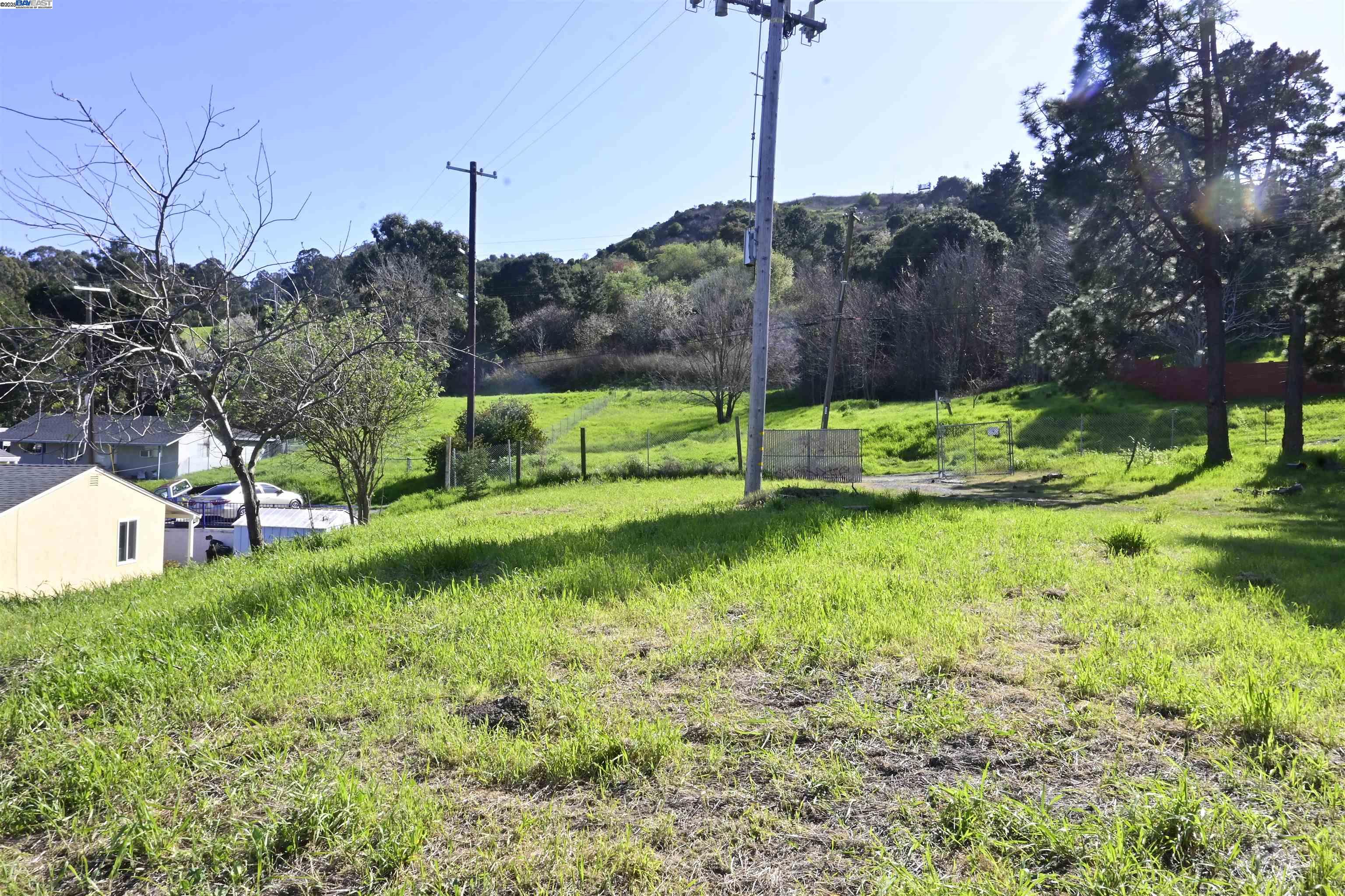 3944 La Cima Road El Sobrante, CA 94803 - Photo 9 of 35 a view of a garden with a tree in the grass