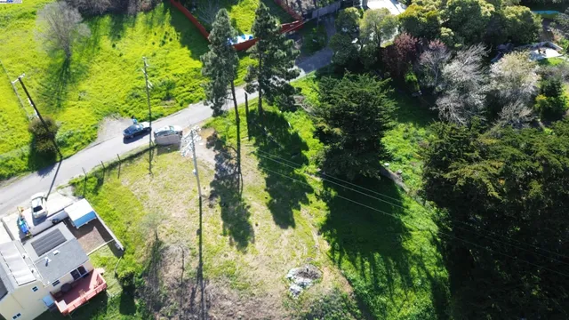 a view of a garden with a bench