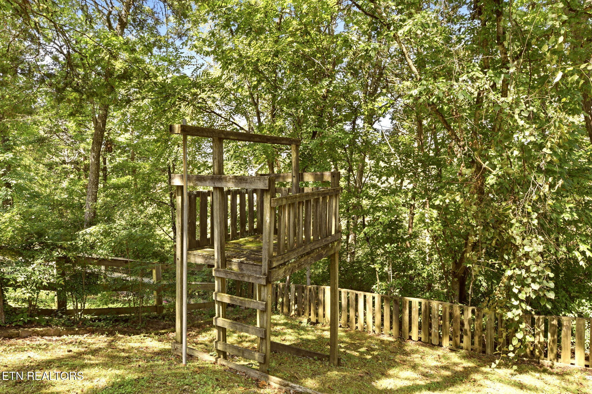 135 Claremont Road Oak Ridge, TN 37830 - Photo 40 of 49 5-web-or-mls-DSC_1175