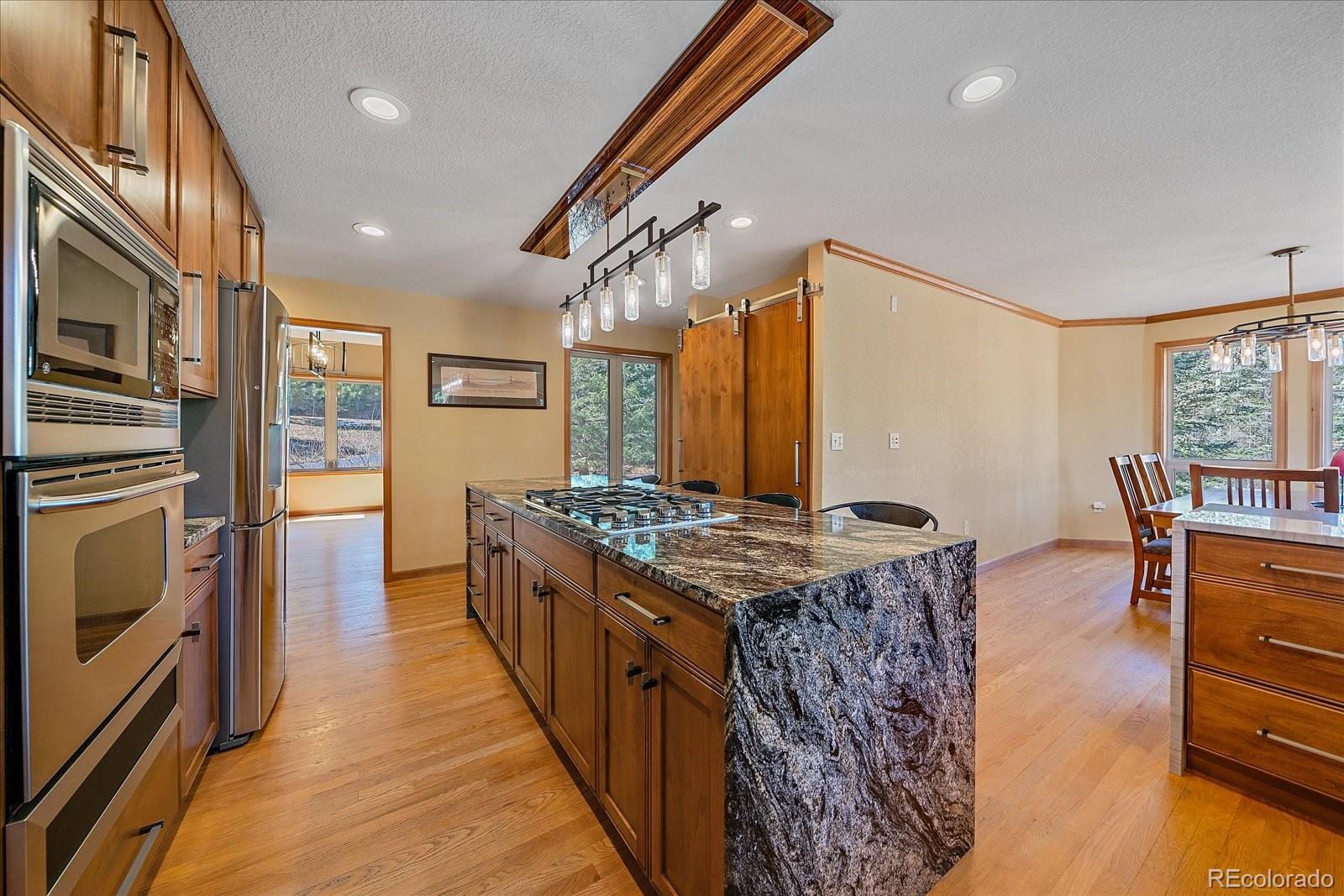 9948 South Turkey Creek Road Conifer, CO 80433 - Photo 17 of 50