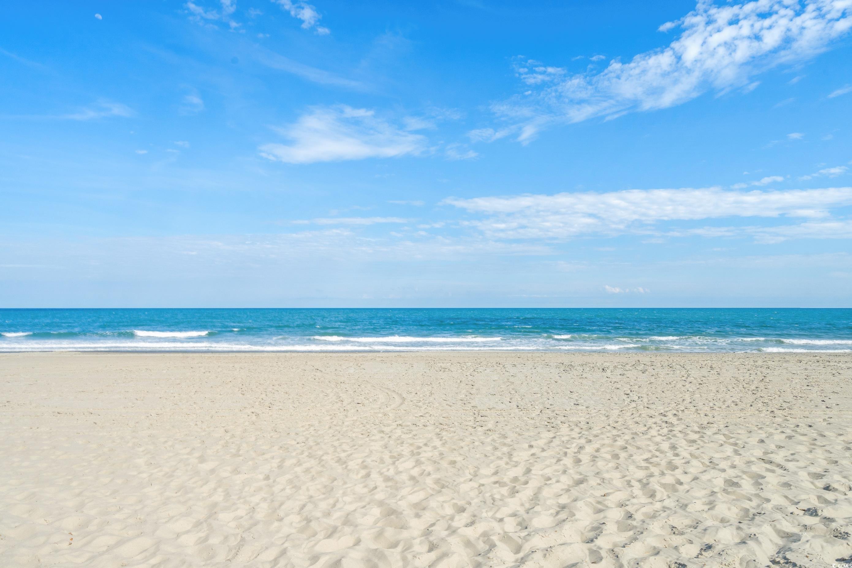 1615 Ocean Boulevard South, Unit 4 Surfside Beach, SC 29575 - Photo 33 of 40