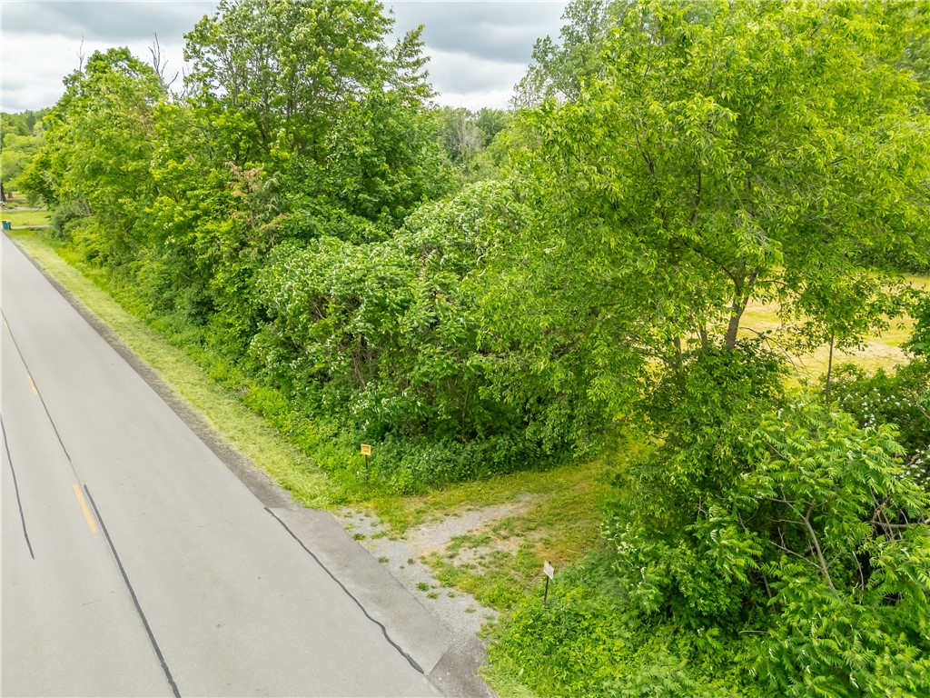 894 Ladue Road Sweden, NY 14420 - Photo 3 of 15