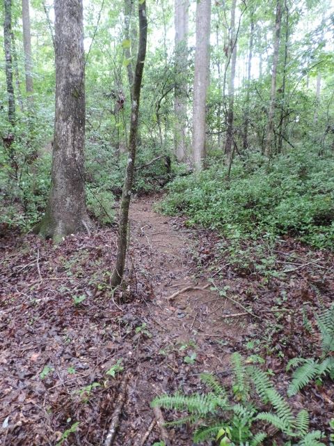 227 Archery Club Road Central, SC 29630 - Photo 30 of 36 Gallery Image 30