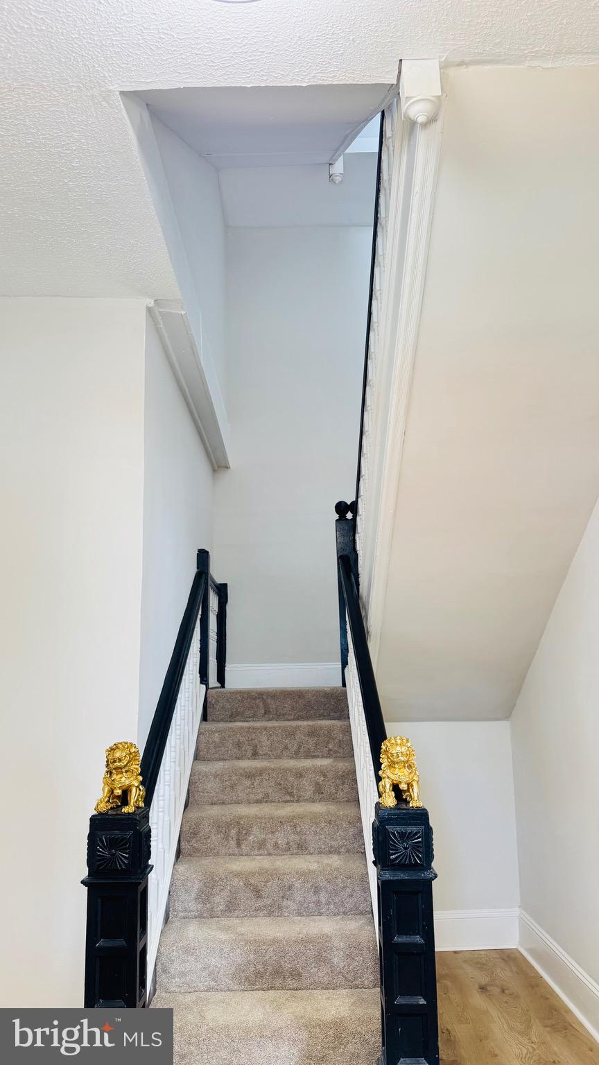 705 Church Street Cambridge, MD 21613 - Photo 6 of 65