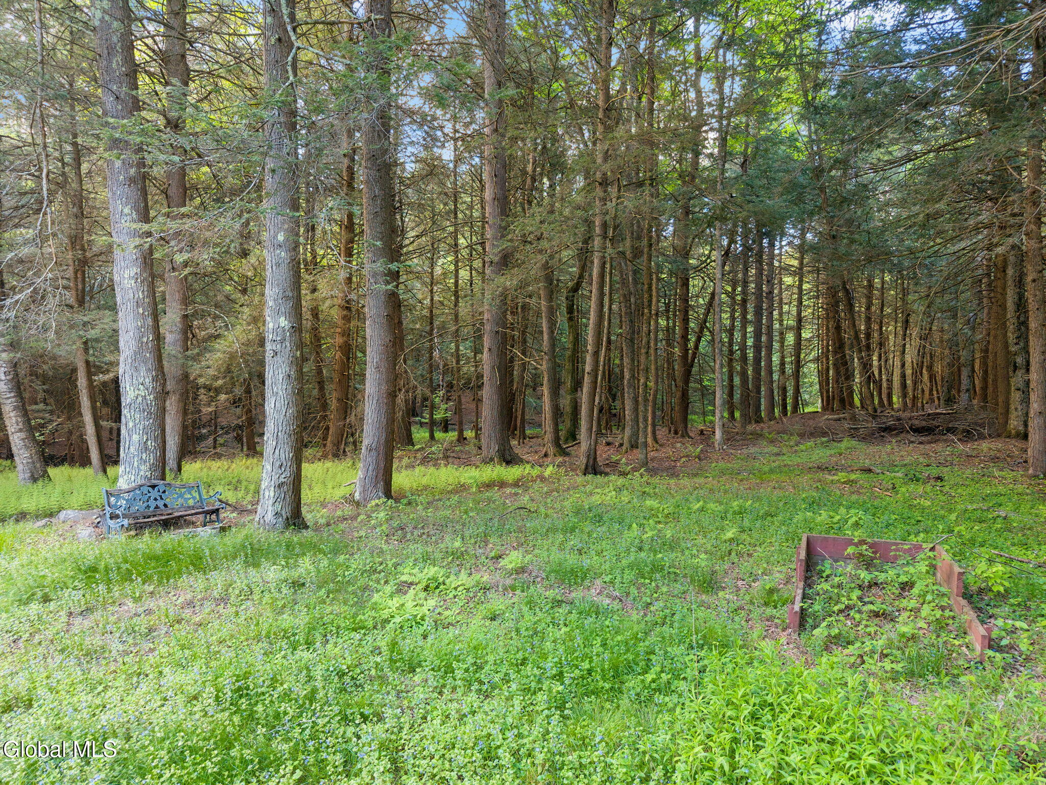 202 Blakesley Road Gilboa, NY 12076 - Photo 38 of 45 44