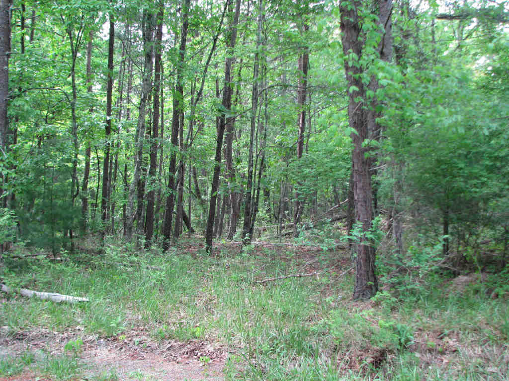 Land photo