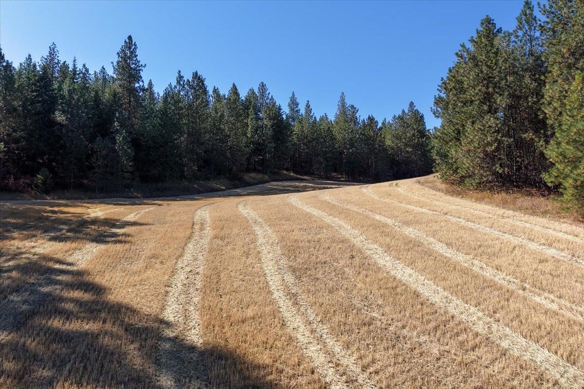 9270 East Peone Road Mead, WA 99021 - Photo 9 of 9 Gallery Image 9