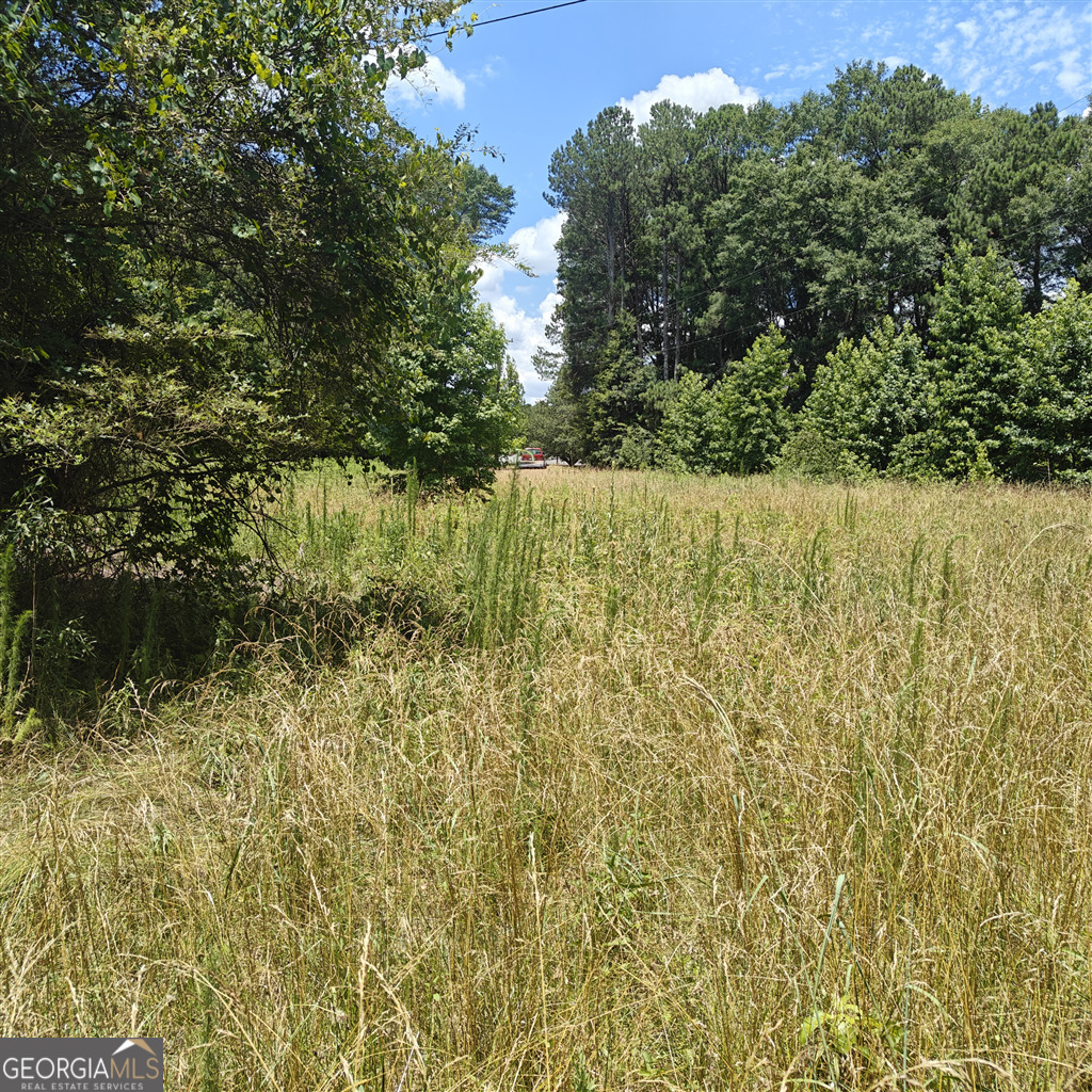 11059 Turner Road Hampton, GA 30228 - Photo 1 of 1 a view of lake view