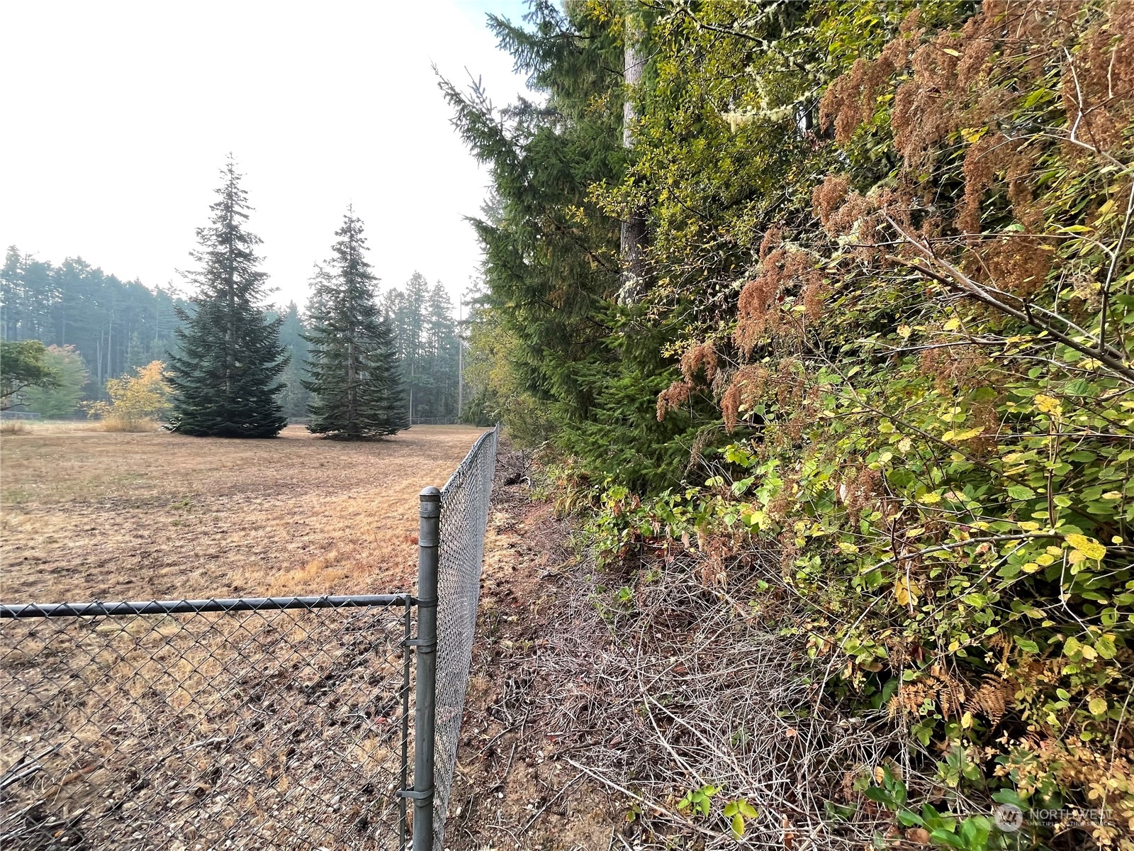 13804 Bandix Road Southeast Olalla, WA 98359 - Photo 11 of 16 Gallery Image 11