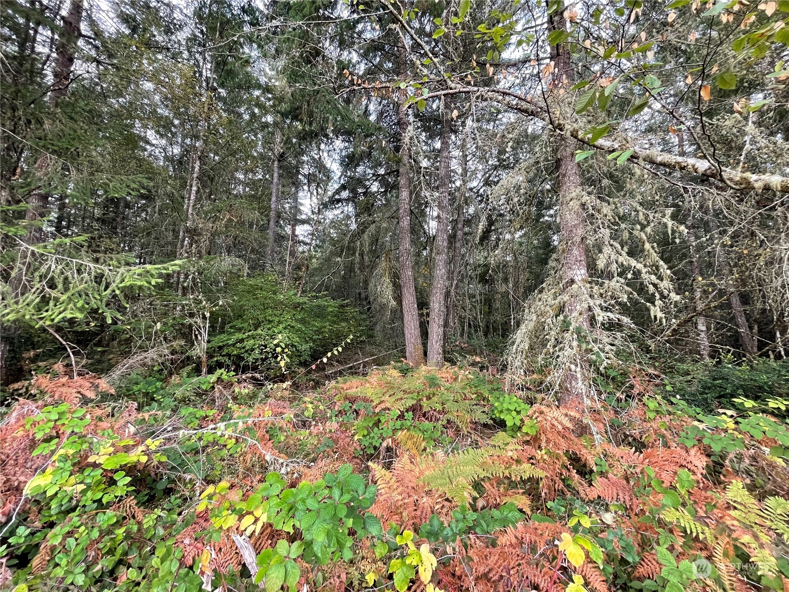 13804 Bandix Road Southeast Olalla, WA 98359 - Photo 12 of 16 Gallery Image 12
