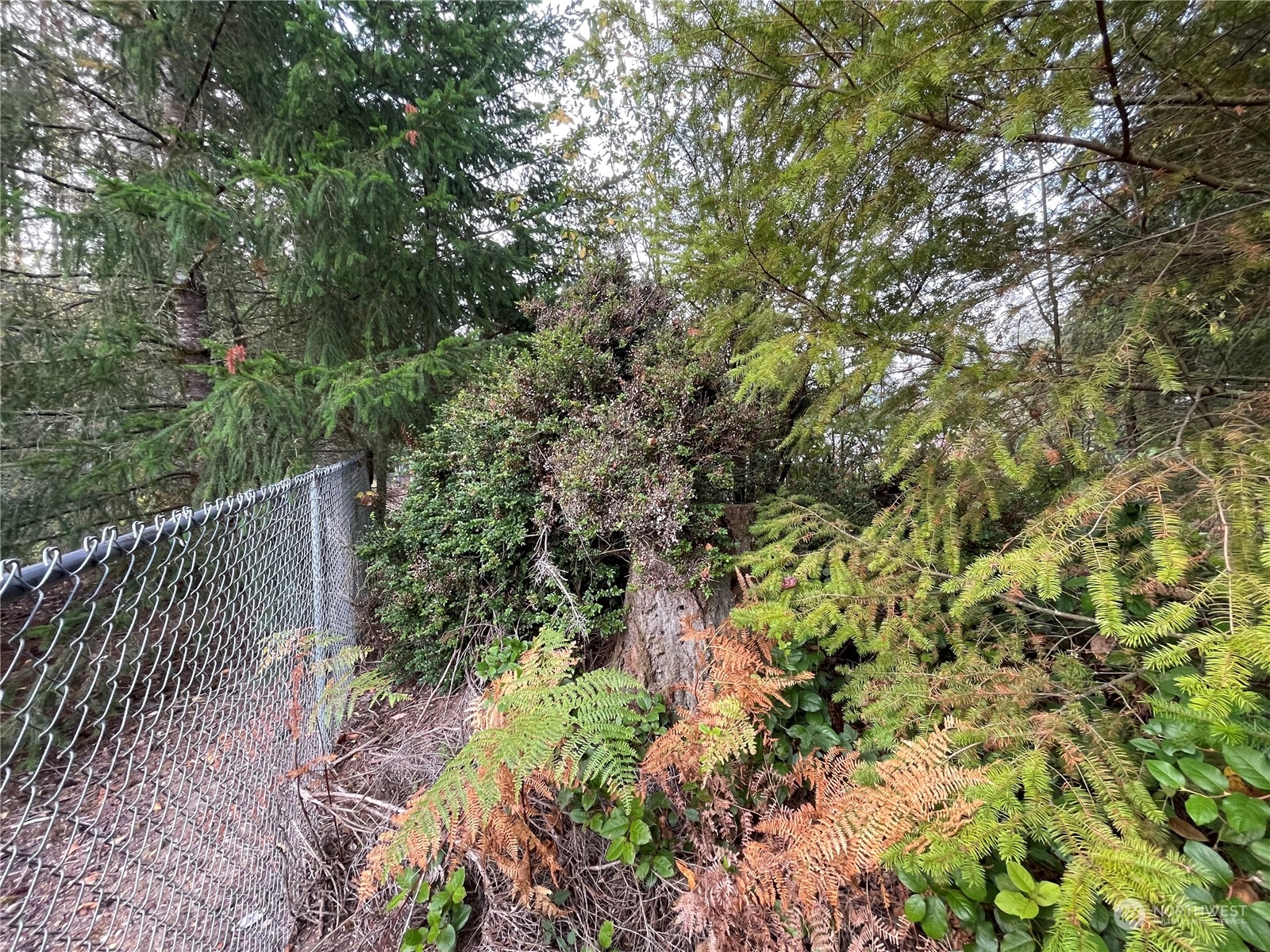 13804 Bandix Road Southeast Olalla, WA 98359 - Photo 15 of 16 Gallery Image 15