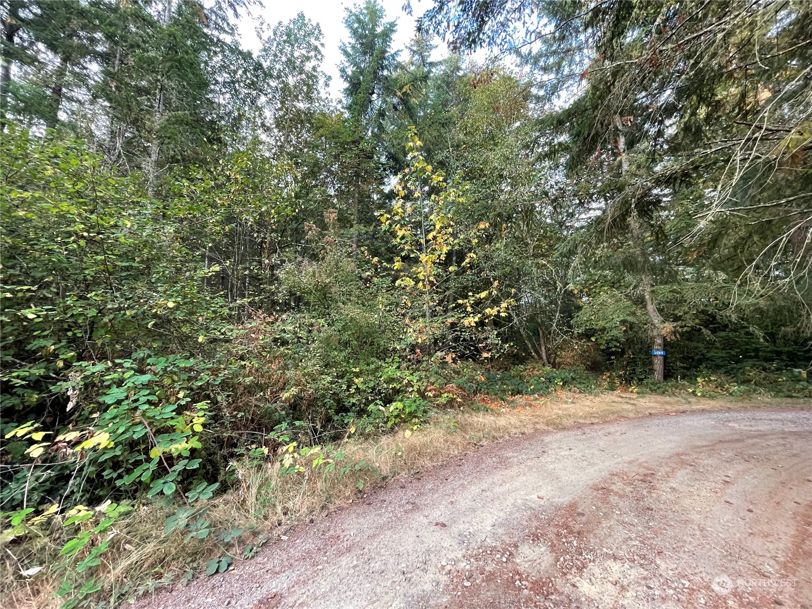 13804 Bandix Road Southeast Olalla, WA 98359 - Photo 3 of 16 Gallery Image 3