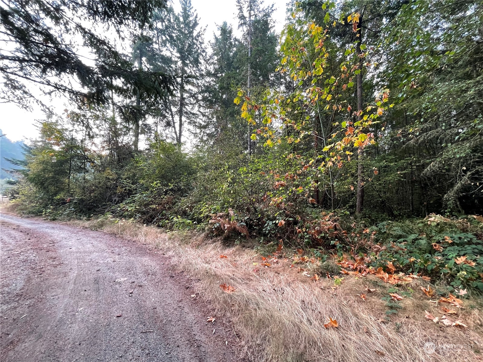 13804 Bandix Road Southeast Olalla, WA 98359 - Photo 10 of 16 Gallery Image 10
